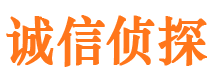 迭部侦探公司